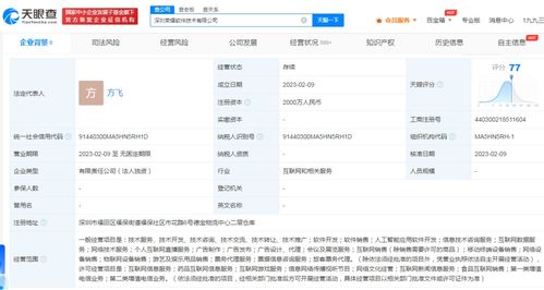 榮耀跨界布局游戲與信息服務(wù)，2000萬(wàn)成立軟件子公司引發(fā)行業(yè)關(guān)注